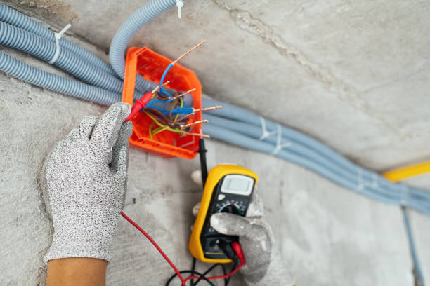 Best Electric Panel Repair  in Squirrel Mountain Valley, CA