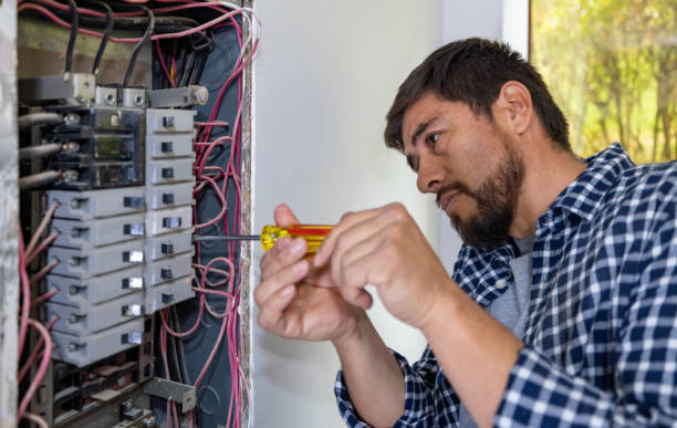 Best Local Electrician Companies  in Squirrel Mountain Valley, CA